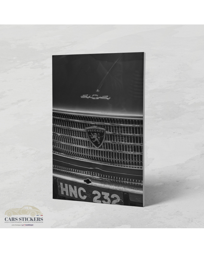 Cadre Peugeot 404 Calandre