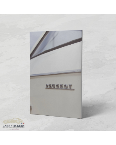 Cadre Peugeot Portière