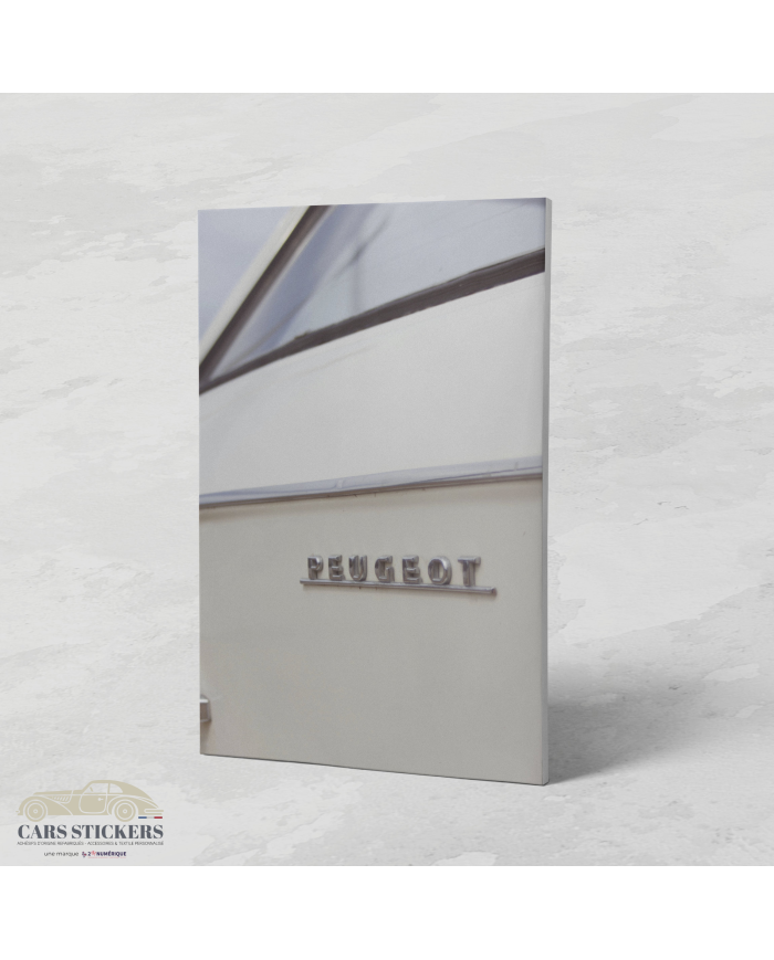 Cadre Peugeot Portière