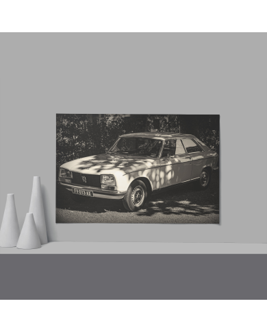 Cadre Peugeot 504 Blanche