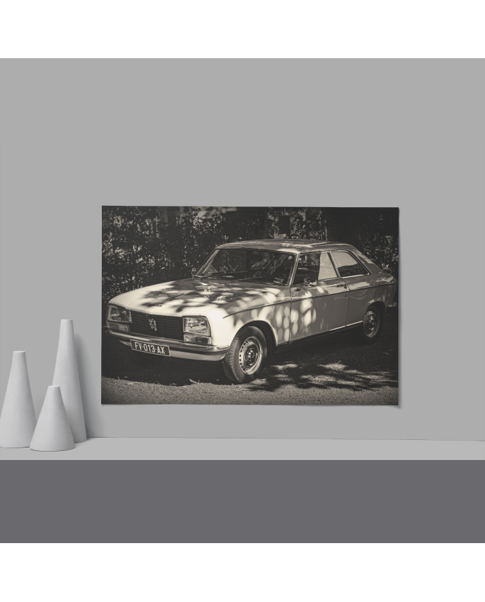 Cadre Peugeot 504 Blanche