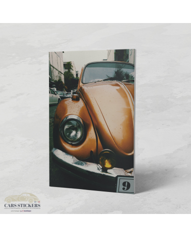 Cadre Coccinelle Volkswagen Orange