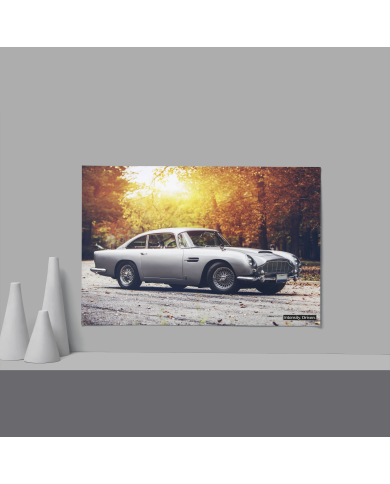 Cadre Aston Martin 007