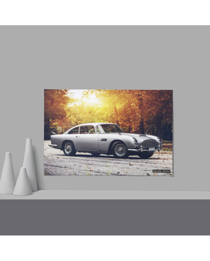 Cadre Aston Martin 007