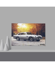 Cadre Aston Martin 007