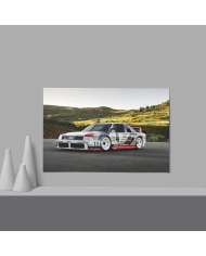 Cadre Audi 90 Quattro