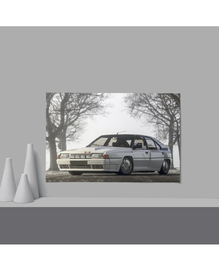 Cadre Citroën BX Sport Blanche