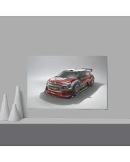 Cadre Citroën C3 WRC