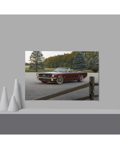 Cadre Ford Mustang Original Rouge