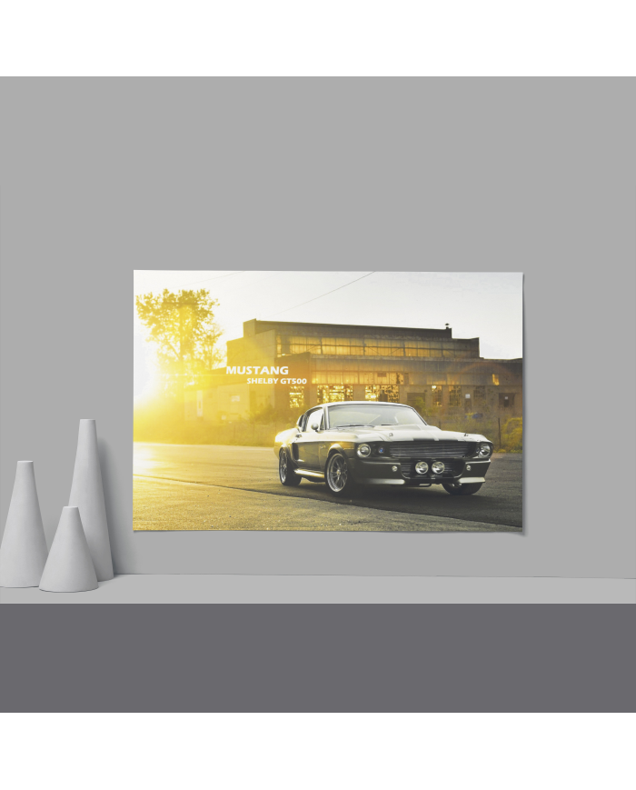 Cadre Ford Mustang GT500