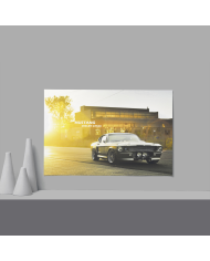 Cadre Ford Mustang GT500