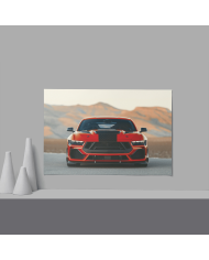 Cadre Ford Mustang Shelby