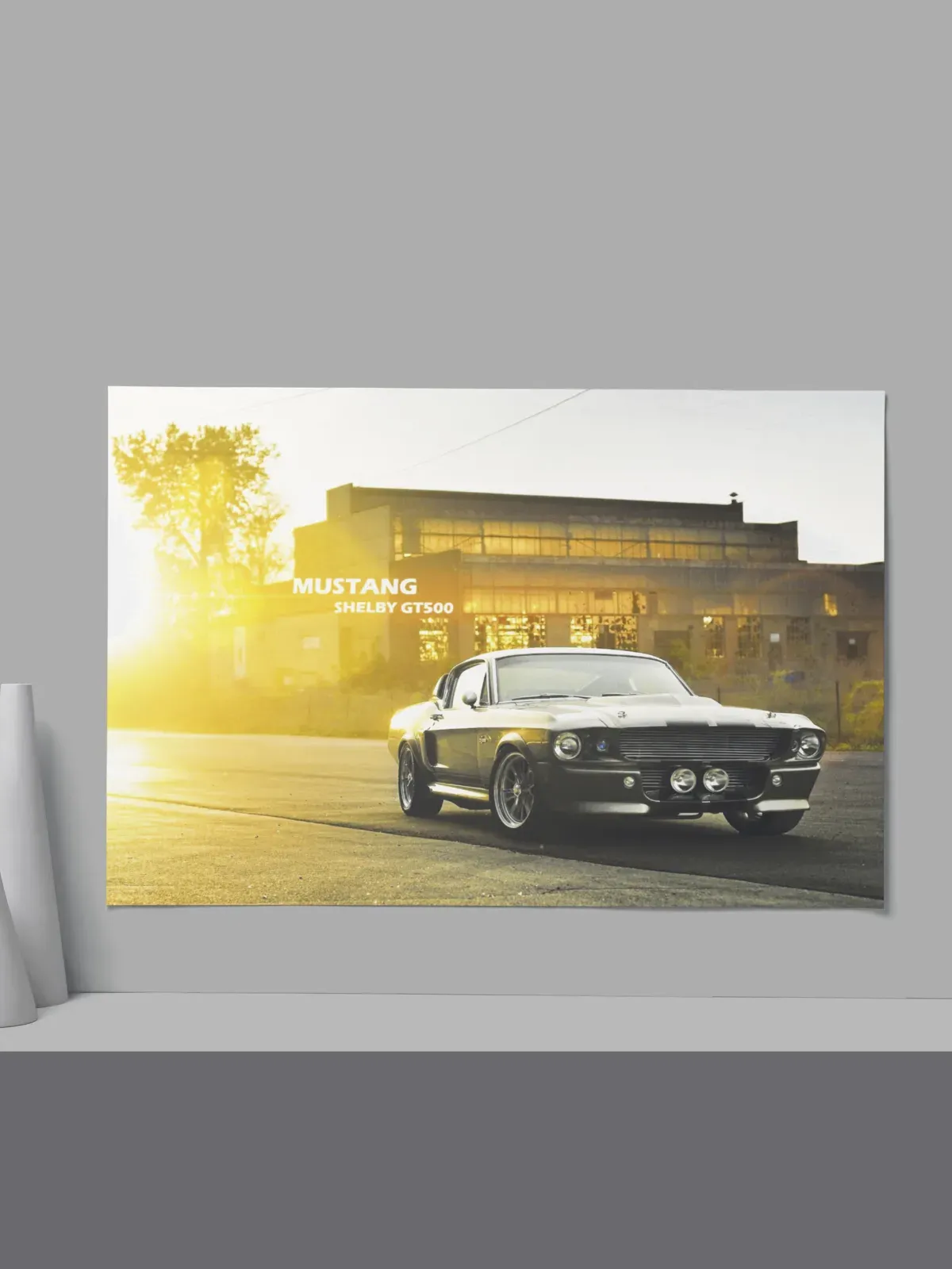 Cadre Ford Mustang GT500