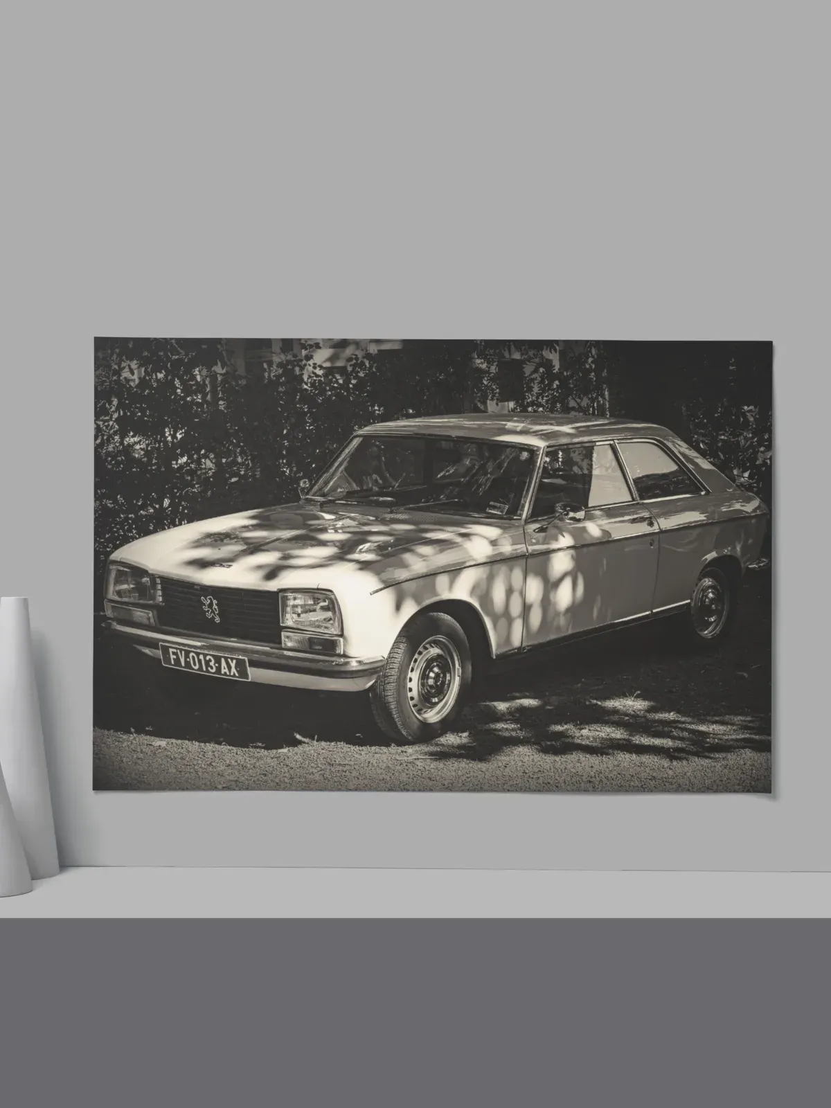 Cadre Peugeot 504 Blanche