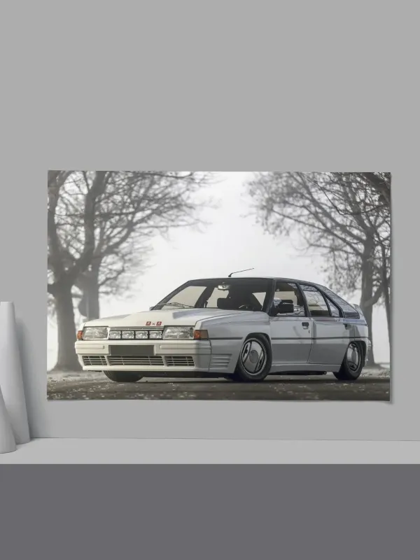 Cadre Citroën BX Sport Blanche