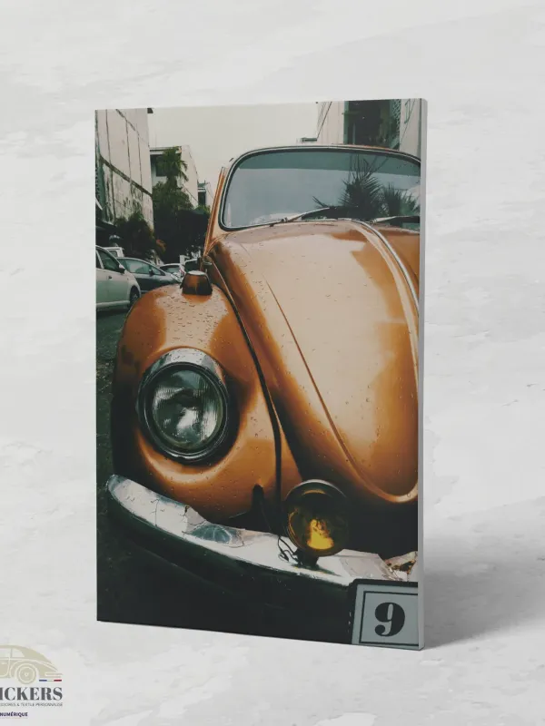 Cadre Coccinelle Volkswagen Orange