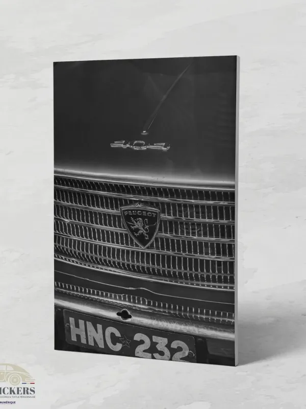 Cadre Peugeot 404 Calandre