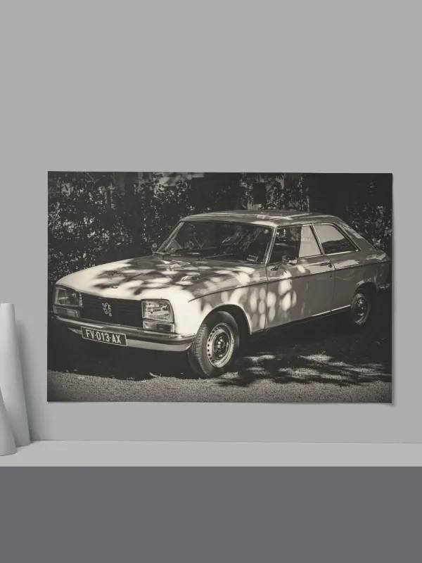 Cadre Peugeot 504 Blanche